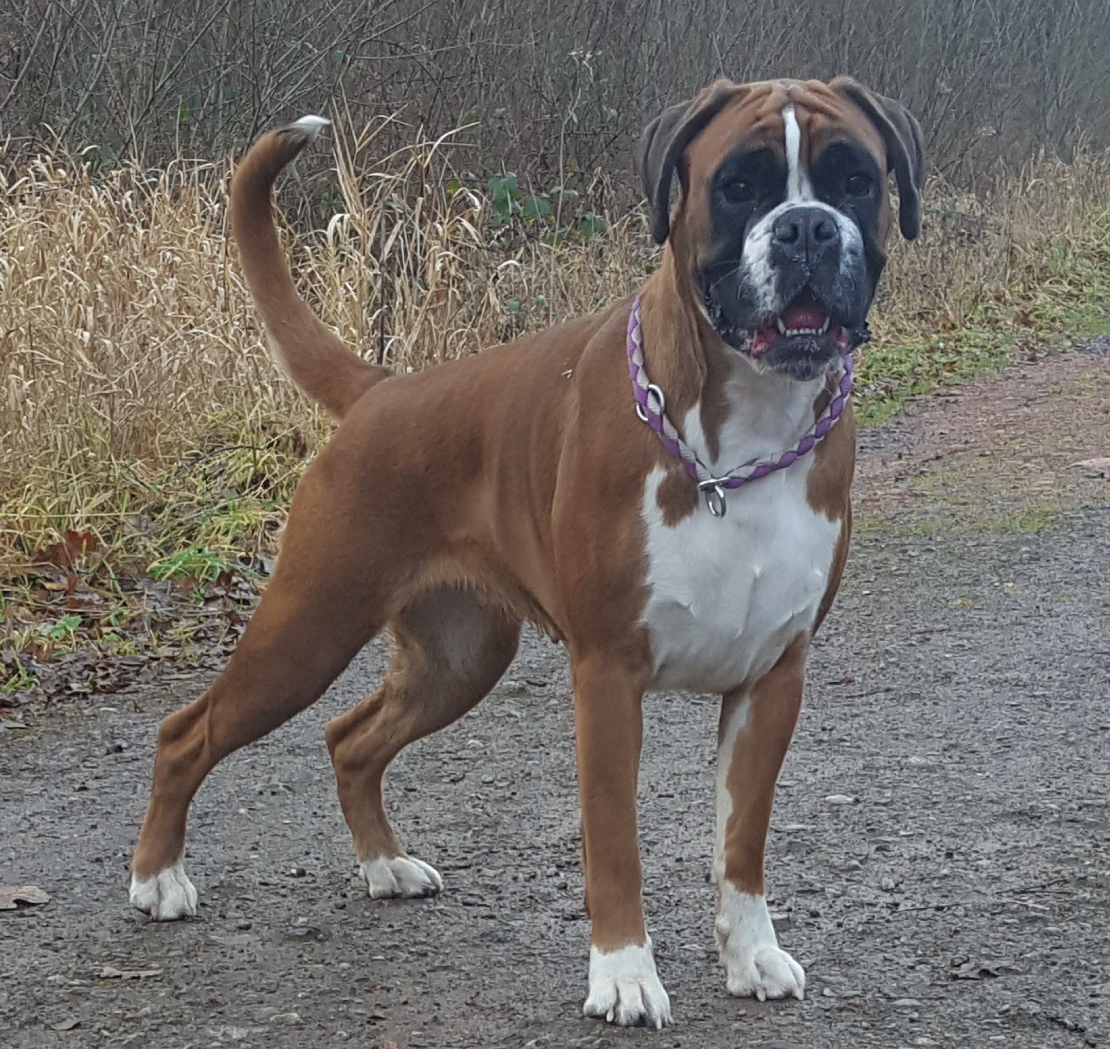 Maddy des chetemis